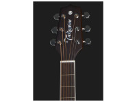 Takamine EF360GF Glenn Frey w/Softcase Takamine EF360GF Glenn Frey w/Softcase